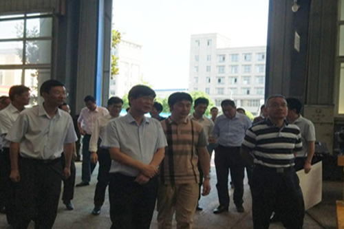 銅陵市原市委書記市長來司視察指導(dǎo)工作.jpg